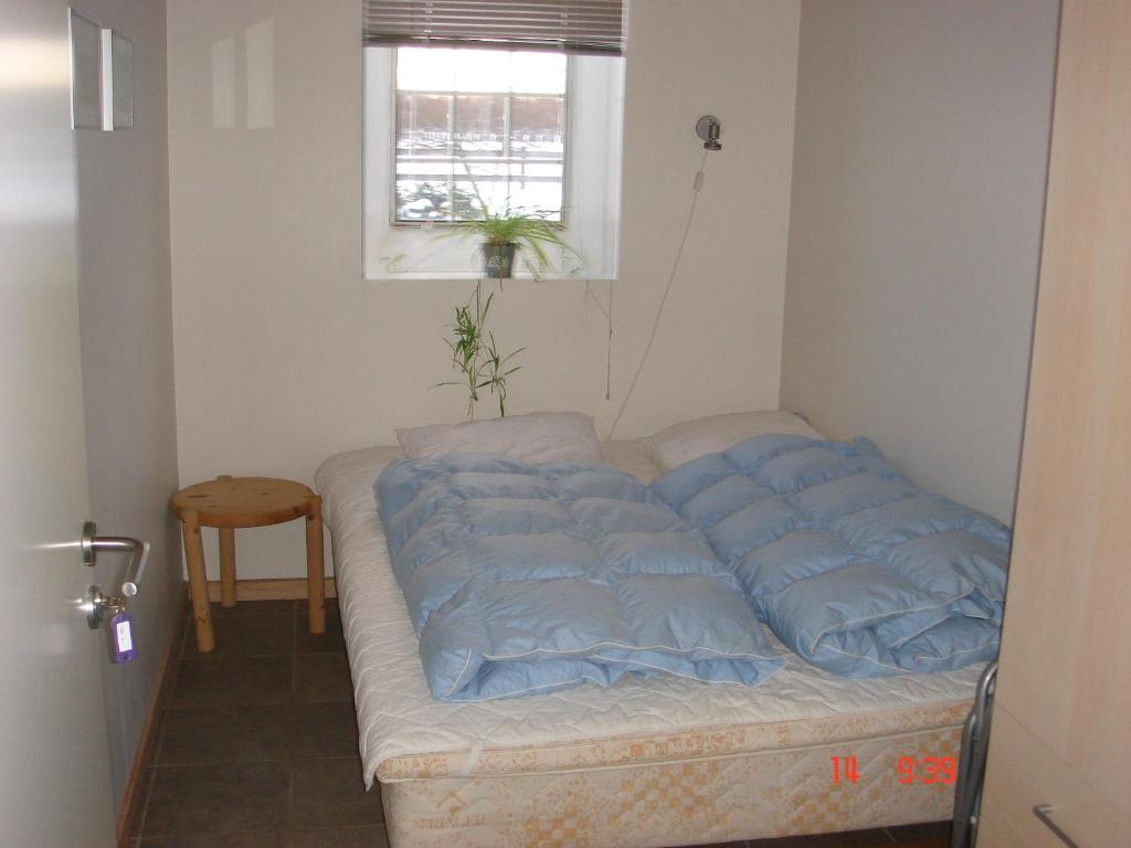Nordkap Farm Holiday & Hostel Bindslev 객실 사진