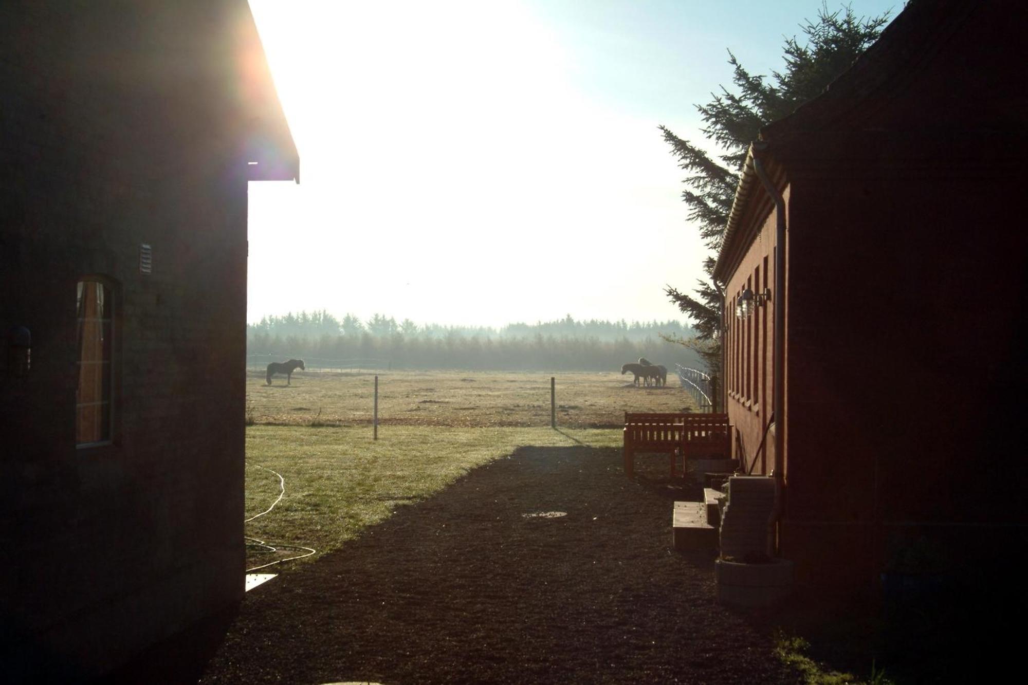 Nordkap Farm Holiday & Hostel Bindslev 외부 사진
