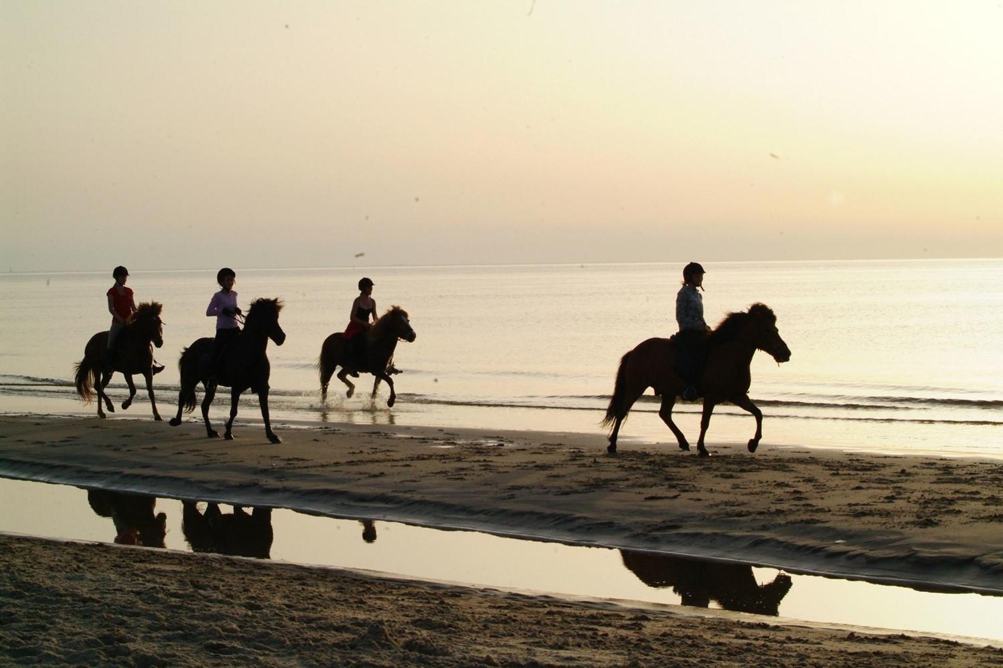Nordkap Farm Holiday & Hostel Bindslev 외부 사진