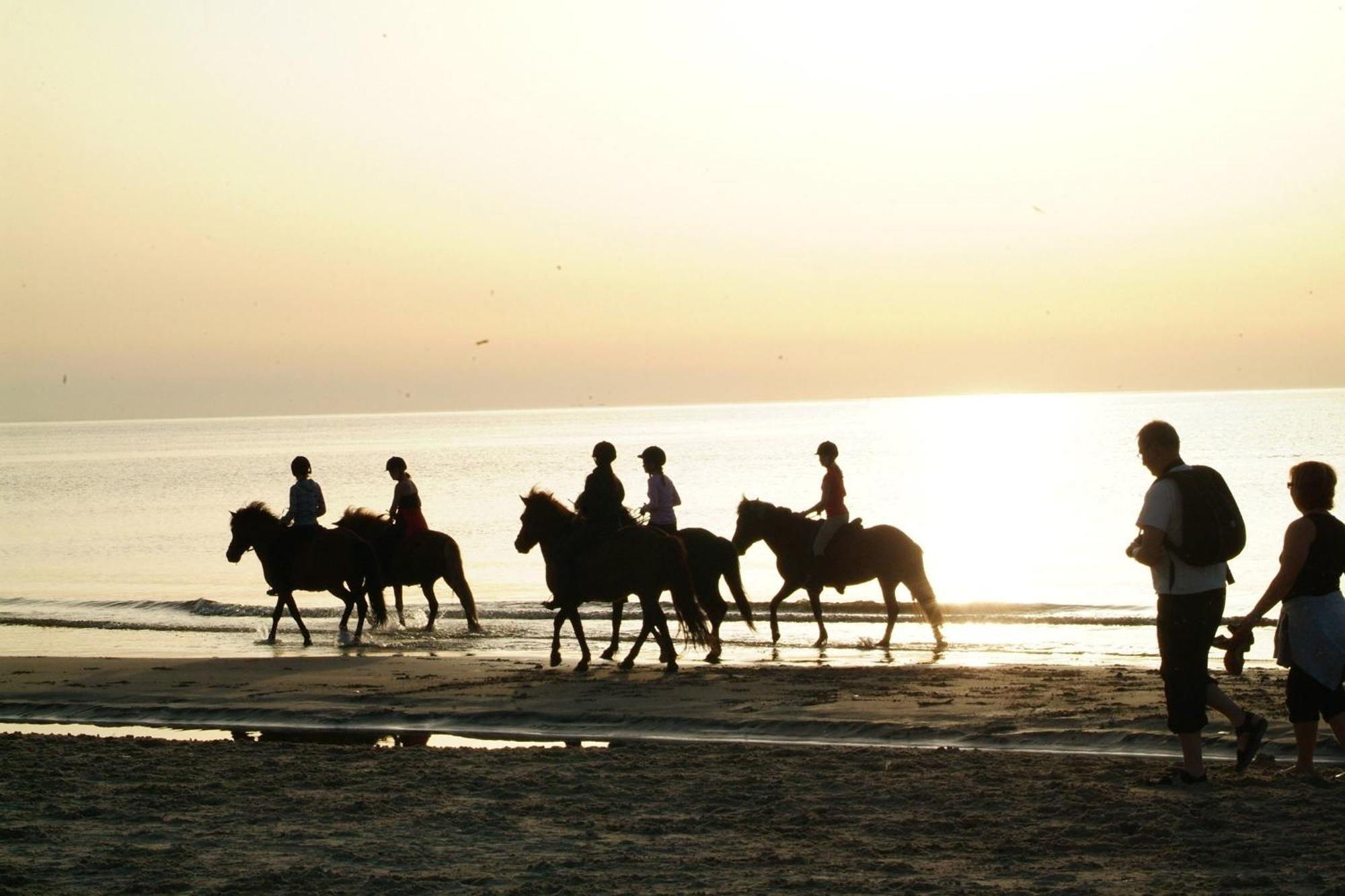 Nordkap Farm Holiday & Hostel Bindslev 외부 사진
