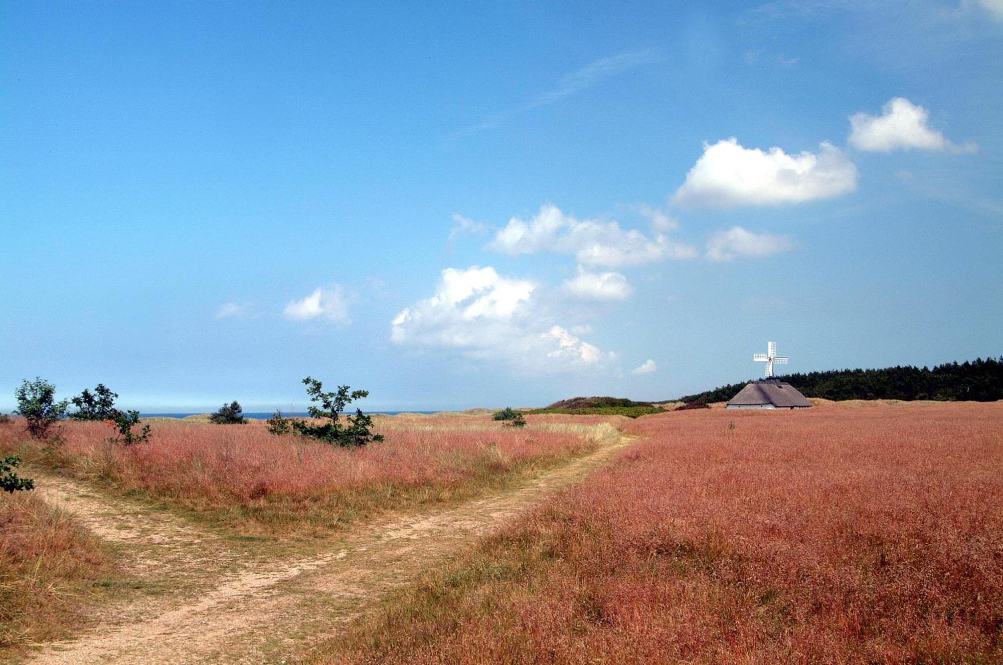 Nordkap Farm Holiday & Hostel Bindslev 외부 사진