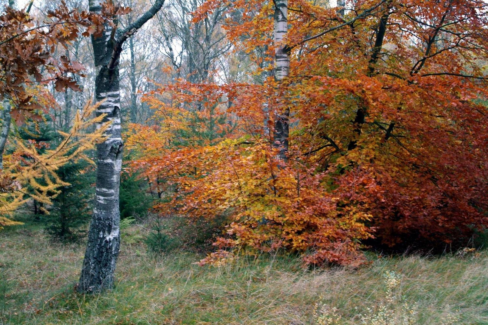 Nordkap Farm Holiday & Hostel Bindslev 외부 사진