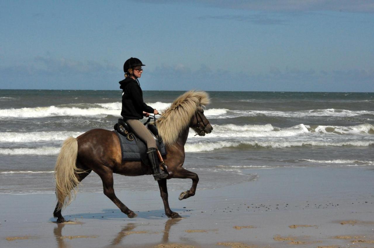Nordkap Farm Holiday & Hostel Bindslev 객실 사진