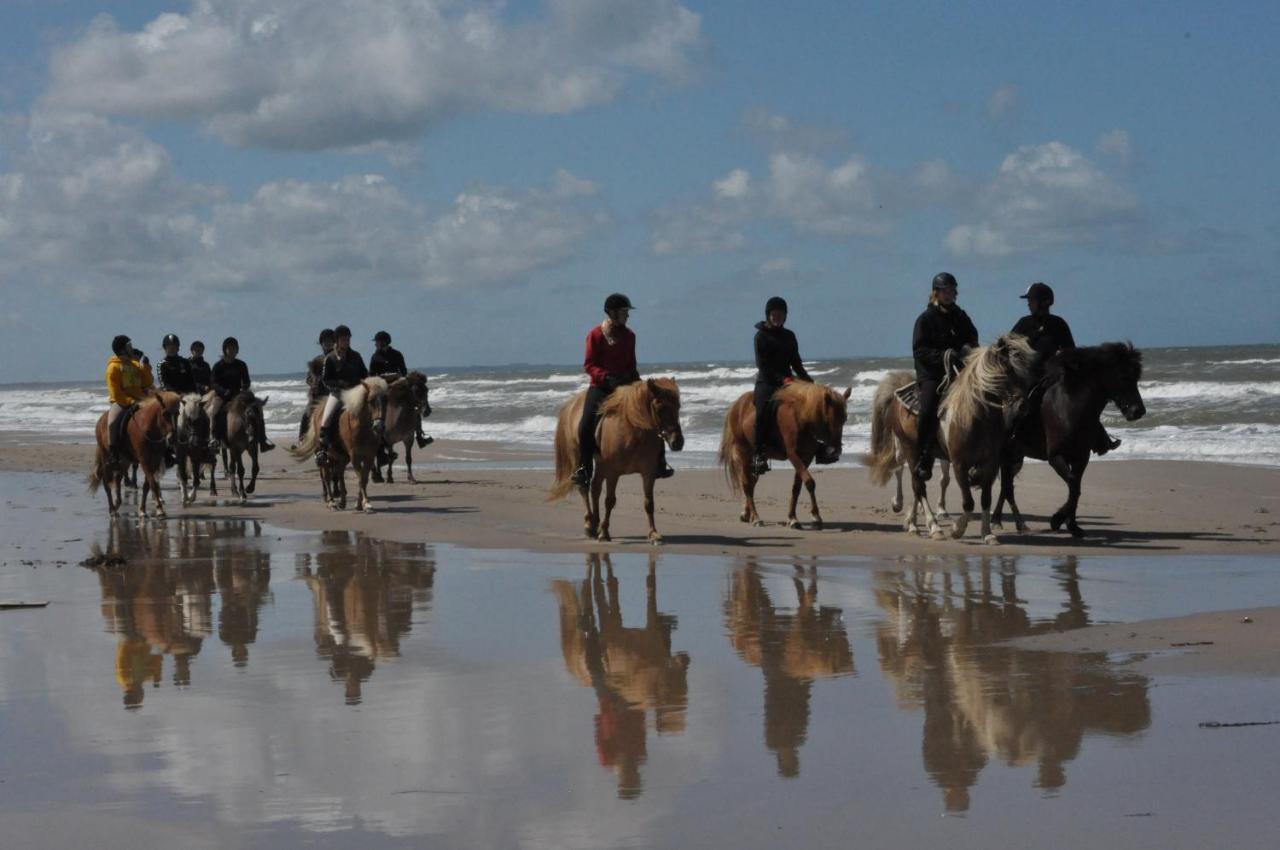 Nordkap Farm Holiday & Hostel Bindslev 객실 사진